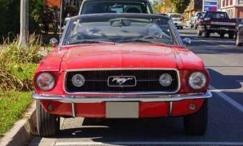 11605 | Mustang en ville - 