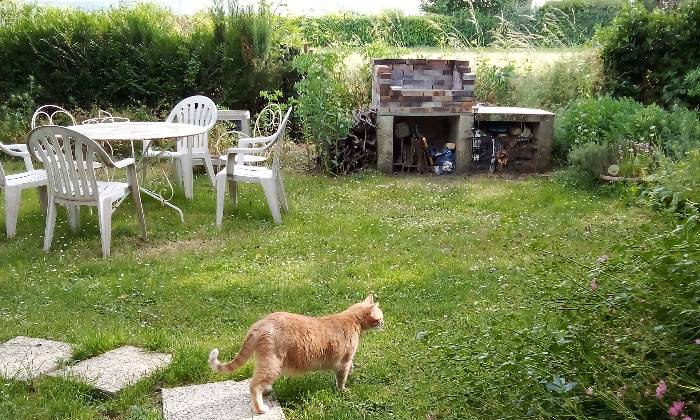 puzzle Cooky découvre le jardin, 