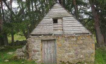 11296 | cabane en forêt - 