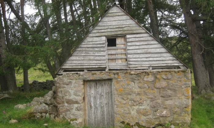 puzzle cabane en forêt, 