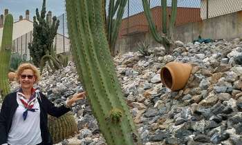 9434 | Cactus géant - 