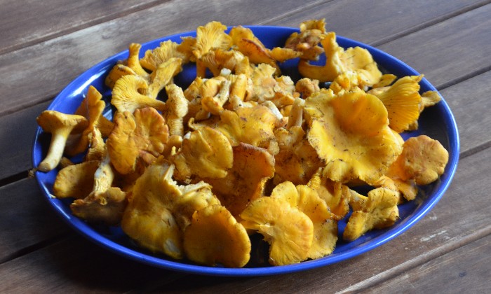 puzzle Girolles, 