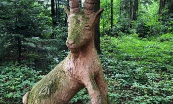 8933 | Tout à la tronçonneuse - Le chemin des sculptures de bois, superbe
