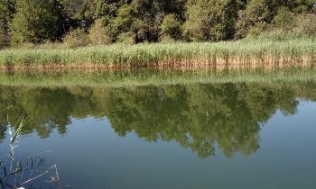 10336 | le lac du loup - le lac du loup a st francois longchamp 73