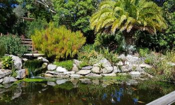 10433 | Jardin exotique de Roscoff - Créé en 1986, ce jardin exotique s’étale aujourd’hui sur 1,6 hectare et compte plus de 3 400 plantes différentes.