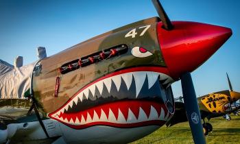 10541 | Curtiss P40 warhawk - La série télé "les têtes brulées" mettant en scène L'escadrille des tigres volants sur Curtiss P40 avec Robert Conrad