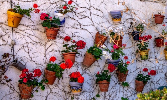 puzzle Mur de pots de fleurs, En Andalousie, beaucoup de patio sont décorés avec de jolis pots de fleurs colorés