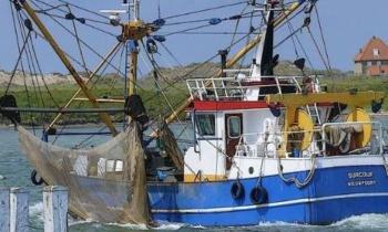 11436 | Bateau de pêche - Un bateau de pêche qui rentre au port