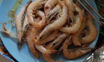 10745 | Assiette de crevettes - 