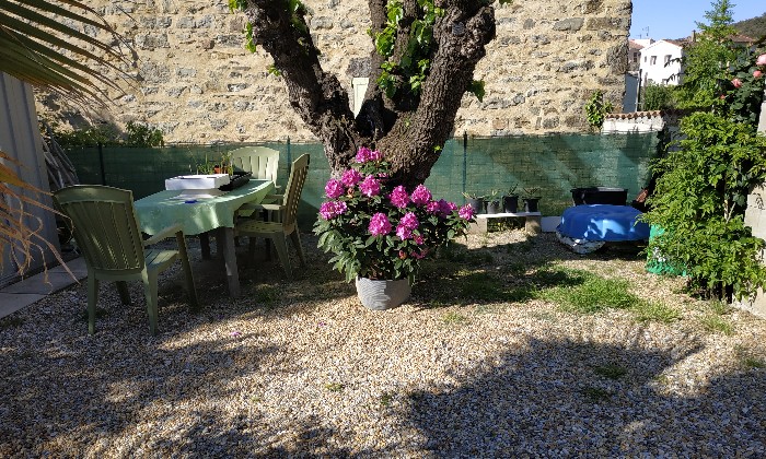 puzzle Jardin, Rhododendron