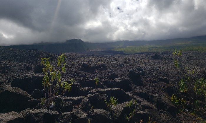 puzzle Coulée de lave, Ancienne coulée de lave Sud de La Réunion