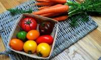 Puzzle Tomates anciennes et carottes