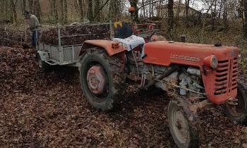 10183 | Ramassage des feuilles d'hiver - Stockage des feuilles d'hiver pour faire du composte