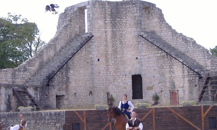 puzzle spectacle avec des aigles, 