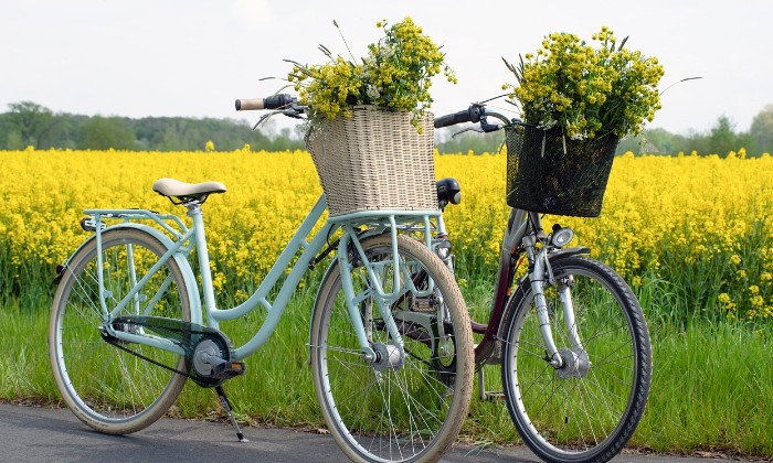 puzzle Duo de bicyclettes au champs, 