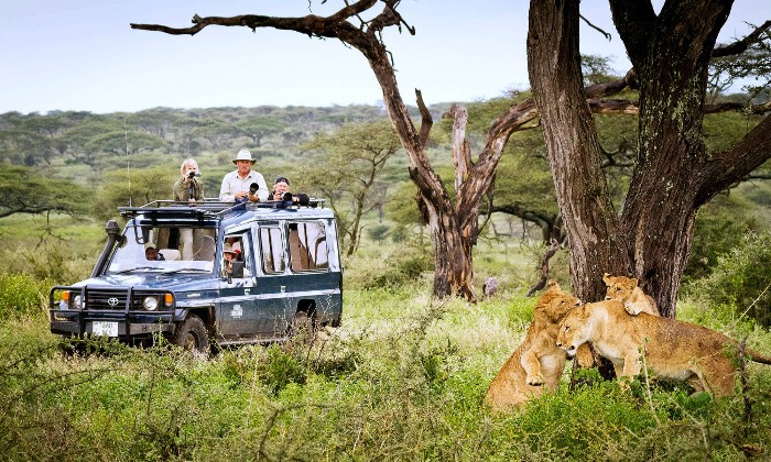 puzzle SAFARI TANZANIE, SAFARI TANZANIE