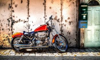 10309 | Harley Davidson - 