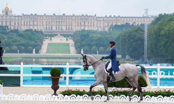 10209 | Jeux Olympique   l'équitation - 