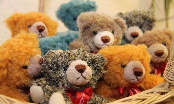 10536 | Ours en peluche - 