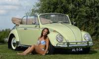 Puzzle VW COCCINELLE