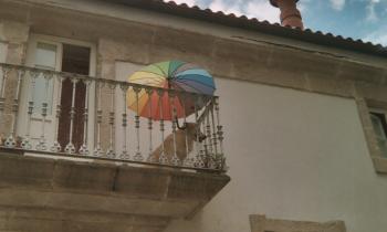 10522 | chien au balcon - Surveillance à l'ombre du parasol