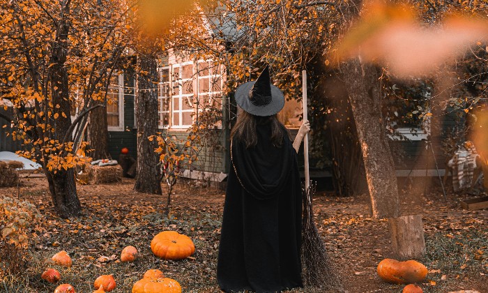 puzzle Citrouilles et sorcière, 