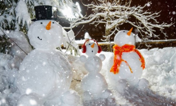 puzzle Que la nuit est belle, Très belle idée de faire regarder le ciel à nos 3 compères de neige...