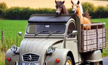 11630 | deux chevaux dans une 2 CV - 